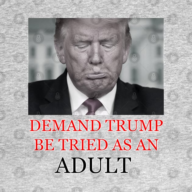 Demand Trump Be Tried As An Adult by colormecolorado